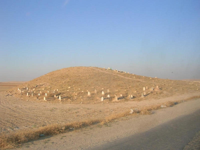 Figure 1 (copyright E. Cunliffe July 2010) shows the cemetery on the site of Mazala in Syria.  (Mazala is site LCP 11 in the Land of Carchemish Survey, carried out by Durham University).