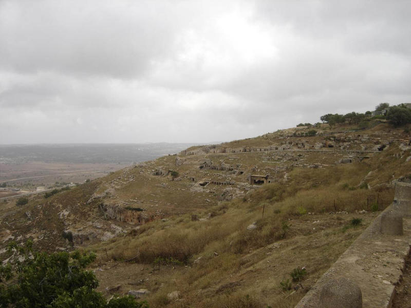 Terracing Cyrene 2007