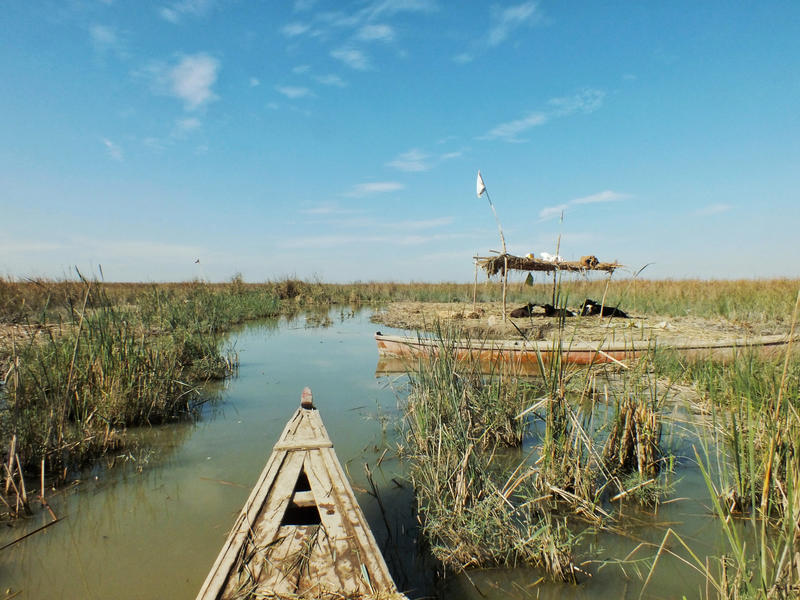 Project site in ThiQar Province, Southern Iraq.