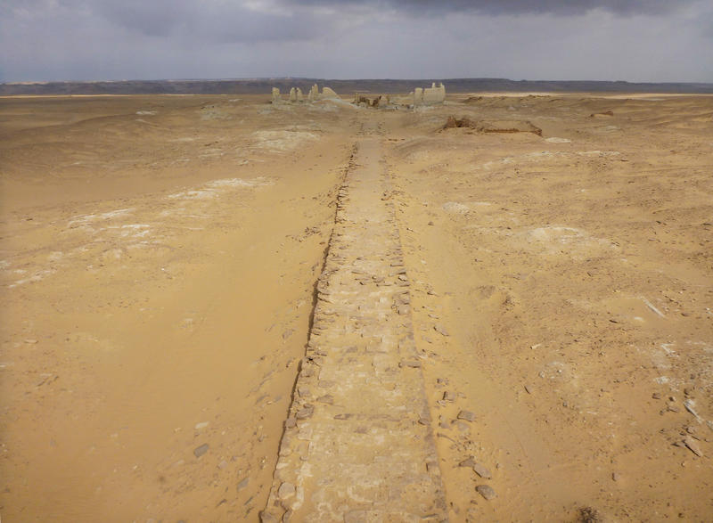 Fig. 5: Dime, Fayoum, the Hellenistic dromos leading to the temple area (courtesy of Soknopaiou Nesos Project, University of Salento, Italy, photo by B. Bazzani)