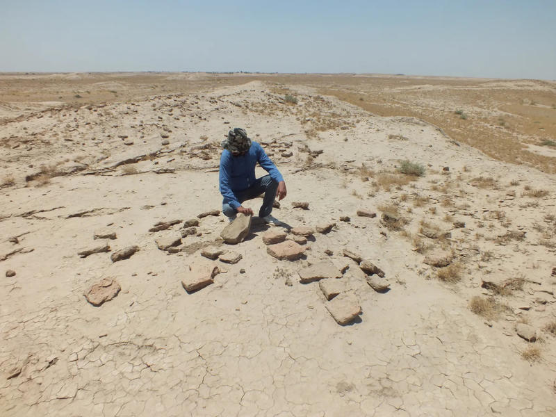 Evidence of looting at a distrubed site in ThiQar Province, Iraq.