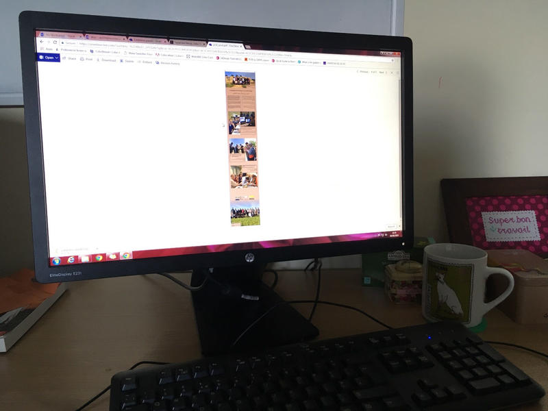 Fig 2: A view of one of the mock-up panels on the computer screen. Fig 2: A view of one of the mock-up panels on the computer screen.