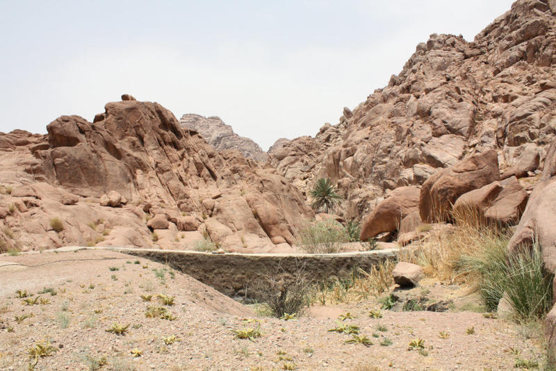 Figure 2 Wadi Shagg water dam, built by an NGO above 1,800 m ASL. Note the high sedimentation rate in front of the water dam following a single runoff event. Photo by Sinai Peninsula Research (SPR), 4 August 2015.