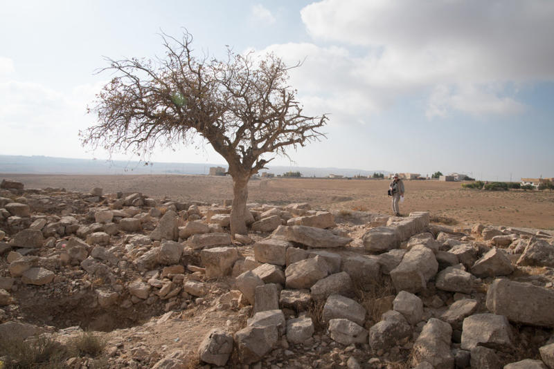David Kennedy inspects the ruins of a large structure of well-dressed stone at Mesheirfeh. Photograph: Rebecca Banks.