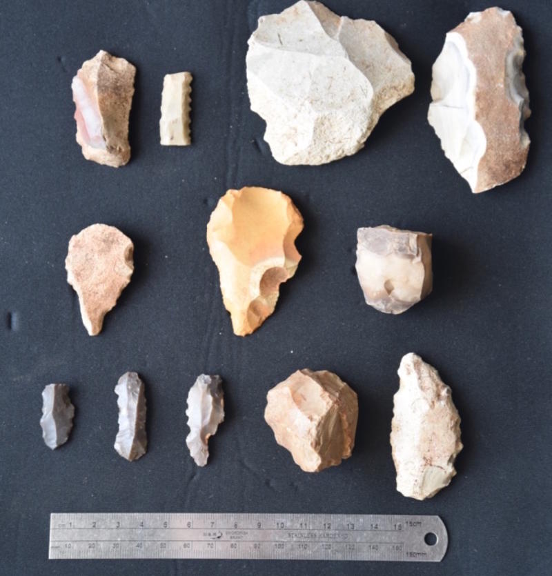 Stone tools collected from the survey area