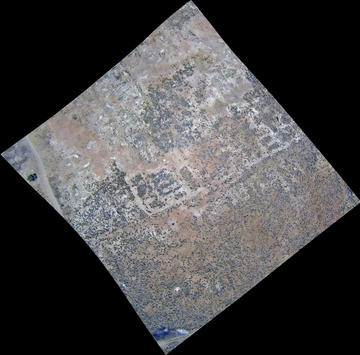 Figure 7: Tell Timai in the eastern Delta, southern area. Courtesy of the Tell Timai Archaeological Project.